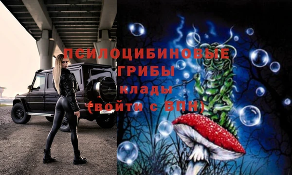 apvp Бородино