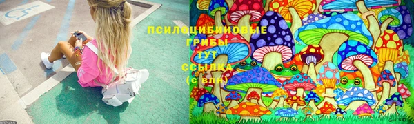 apvp Бородино