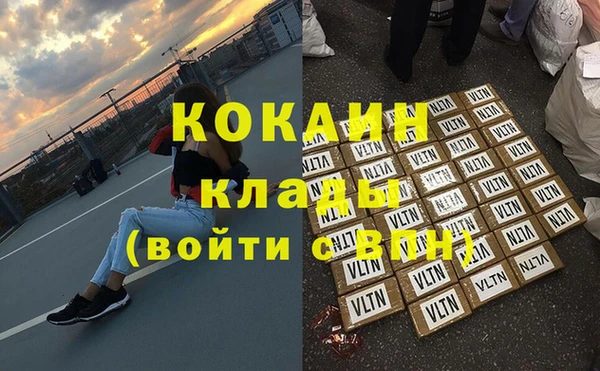apvp Бородино