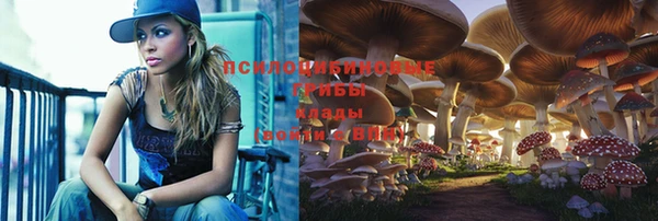 apvp Бородино