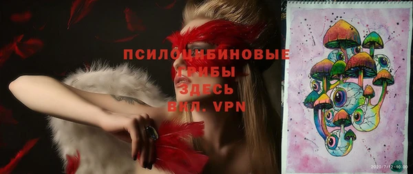 apvp Бородино