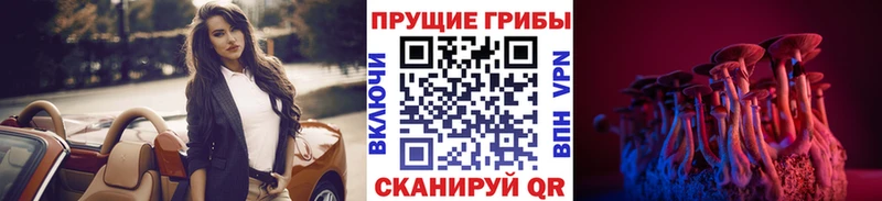 мега tor  Янаул  Галлюциногенные грибы Psilocybe 